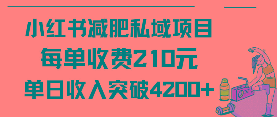 (9466期)小红书减肥私域项目每单收费210元单日成交20单，最高日入4200+-89网创