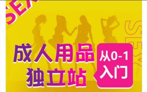 成人用品独立站从0-1入门，成品独立站运营全流程教学，七大好卖成品独立站推荐-89网创