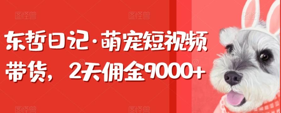 东哲日记·萌宠短视频带货，2天佣金9000+-89网创