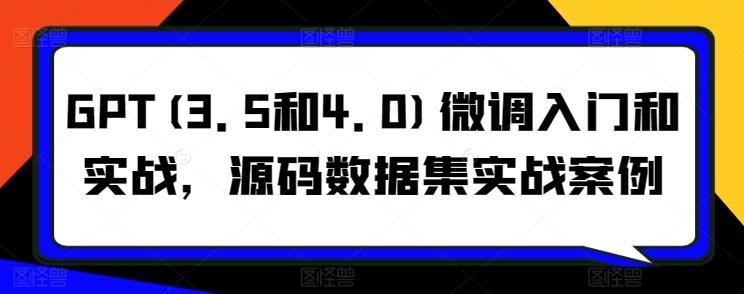 GPT(3.5和4.0)微调入门和实战，源码数据集实战案例-89网创