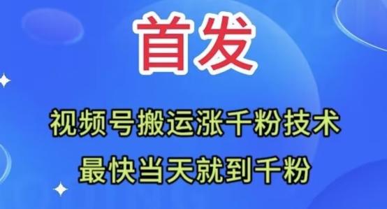 全网首发：视频号无脑搬运涨千粉技术，最快当天到千粉【揭秘】-89网创