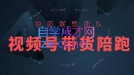 狼团联盟·2024视频号带货-89网创