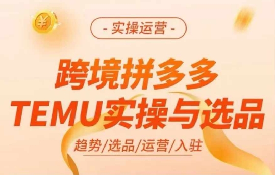 跨境拼多多TEMU实操与选品，多多temu跨境选品运营实操-89网创