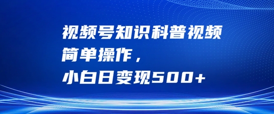 视频号知识科普视频，简单操作，小白日变现500+【揭秘】-89网创