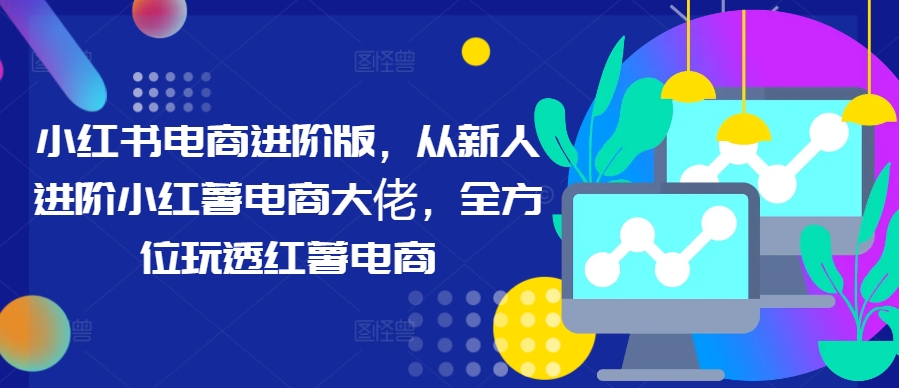小红书电商进阶版，从新人进阶小红薯电商大佬，全方位玩透红薯电商-89网创