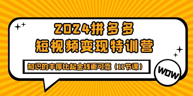 (9817期)2024拼多多短视频变现特训营，知识的丰厚比起金钱更可靠(11节课)-89网创