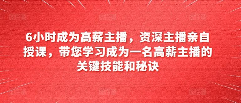 6小时成为高薪主播，资深主播亲自授课，带您学习成为一名高薪主播的关键技能和秘诀-89网创