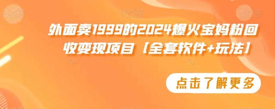 外面卖1999的2024爆火宝妈粉回收变现项目【全套软件+玩法】【揭秘】-89网创
