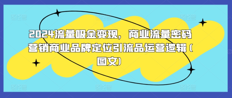2024流量吸金变现，商业流量密码营销商业品牌定位引流品运营逻辑(图文)-89网创