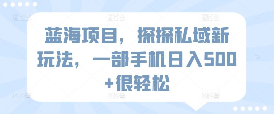蓝海项目，探探私域新玩法，一部手机日入500+很轻松【揭秘】-89网创