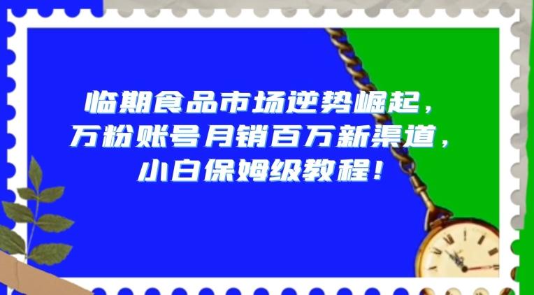 临期食品市场逆势崛起，万粉账号月销百万新渠道，小白保姆级教程【揭秘】-89网创
