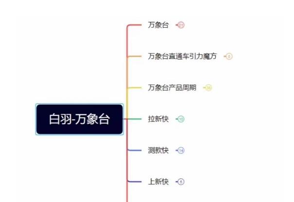 白羽·直引万搜索全篇，从0-1，多个类目实操经验总结付费-89网创