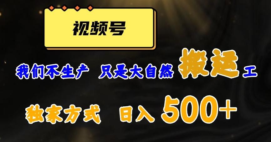 视频号轻松搬运日赚500+，一个1分钟1条原创视频【揭秘】-89网创