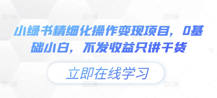 小绿书精细化操作变现项目，0基础小白，不发收益只讲干货-89网创