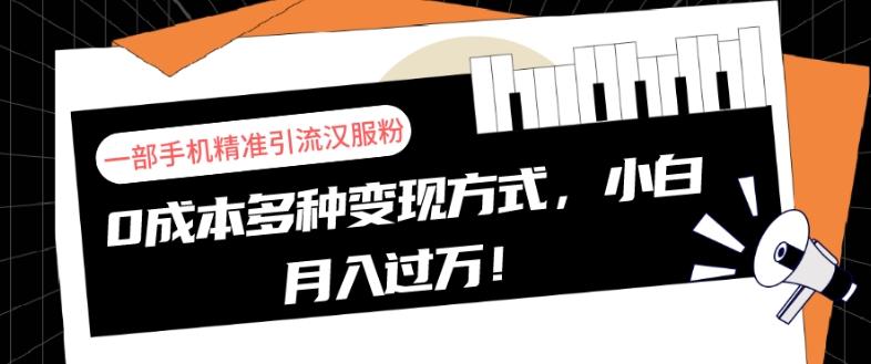一部手机精准引流汉服粉，0成本多种变现方式，小白月入过万！-89网创
