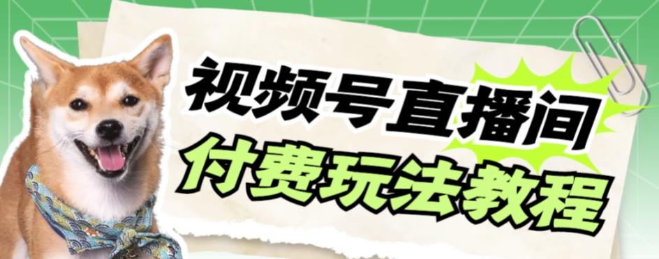 视频号美女付费无人直播，轻松日入500+【详细玩法教程】-89网创