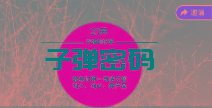 《子弹密码训练营》-用一句话文案勾人勾心卖产品，21天学到顶尖文案大师策略和技巧-89网创