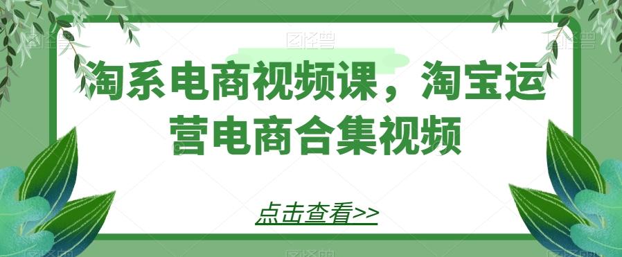 淘系电商视频课，淘宝运营电商合集视频-89网创