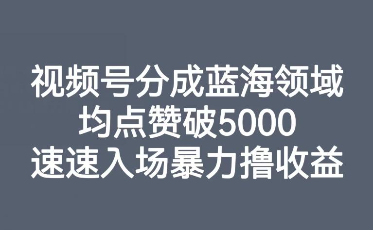 视频号分成蓝海领域，均点赞破5000，速速入场暴力撸收益-89网创