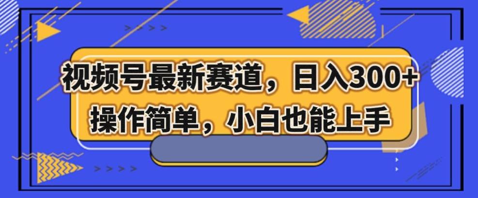 视频号最新赛道，日入300+，新手小白轻松掌握-89网创