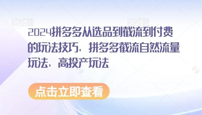 2024拼多多从选品到截流到付费的玩法技巧，拼多多截流自然流量玩法，高投产玩法-89网创