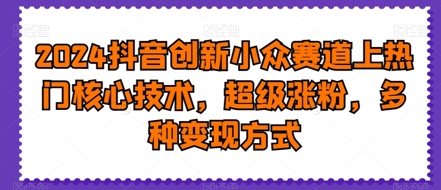 2024抖音创新小众赛道上热门核心技术，超级涨粉，多种变现方式【揭秘】-89网创