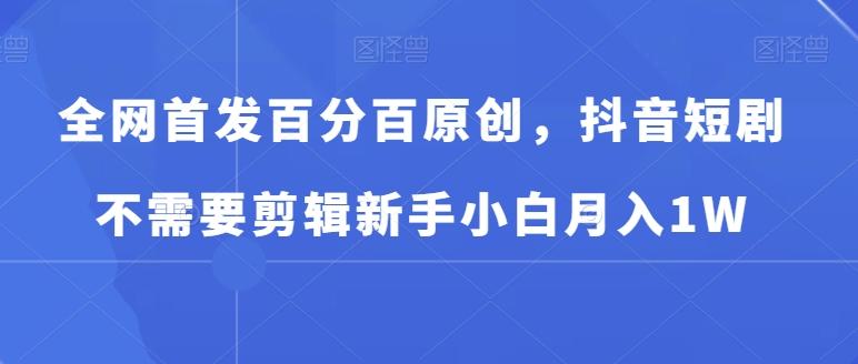 全网首发百分百原创，抖音短剧不需要剪辑新手小白月入1W-89网创