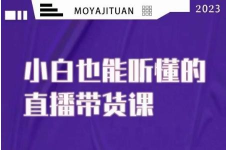 大威本威·能听懂的直播带货课，小白也能听懂，20节完整-89网创