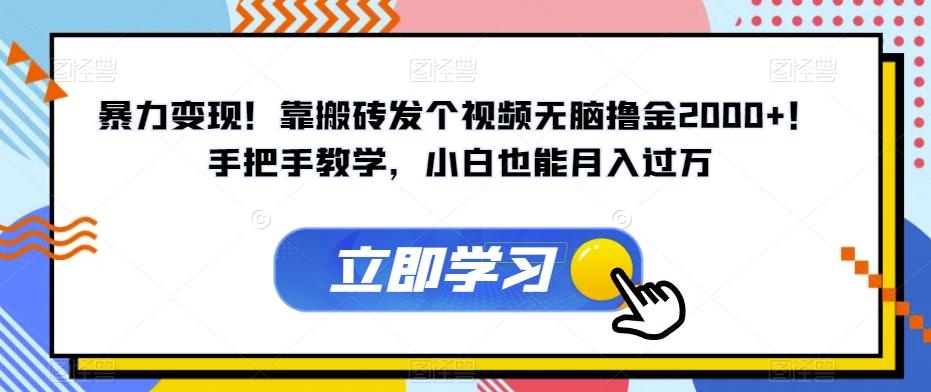 暴力变现！靠搬砖发个视频无脑撸金2000+！手把手教学，小白也能月入过万【揭秘】-89网创