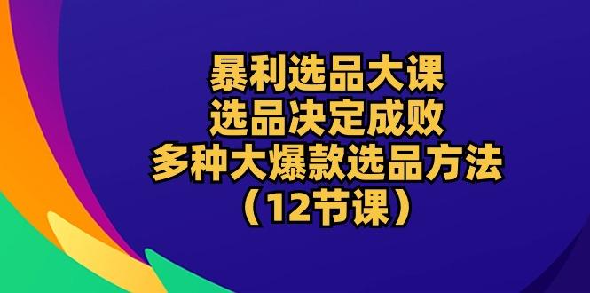 暴利 选品大课：选品决定成败，教你多种大爆款选品方法(12节课-89网创