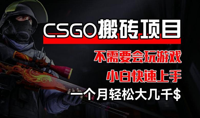 CSGO 装备搬砖项目，操作简单，不需要会玩游戏，小白也能快速上手，一个月轻松大几千【揭秘】-89网创
