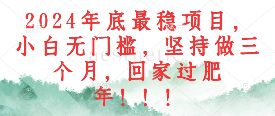 2024年底最稳项目，小白无门槛，坚持做三个月，回家过肥年！！！-89网创