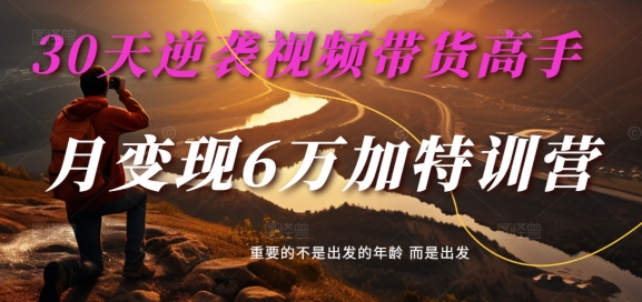 30天逆袭视频带货高手，单月变现6万加特训营-麦子甜-89网创