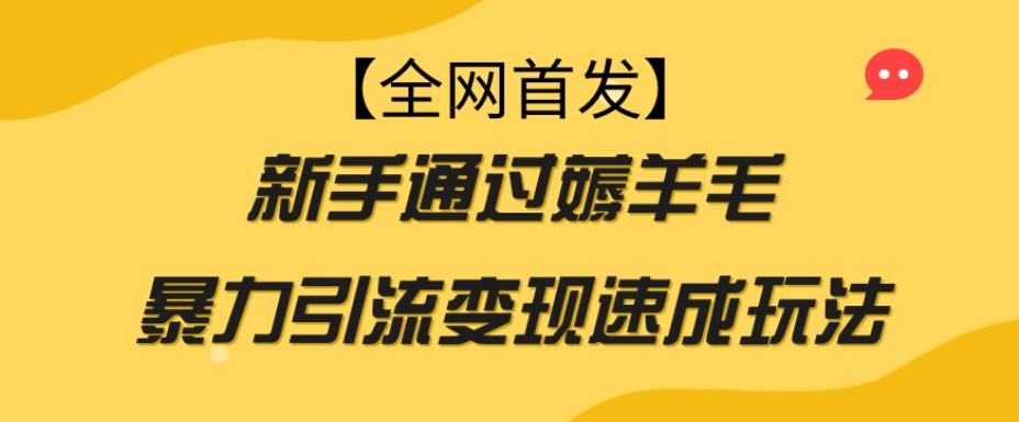【全网首发】新手通过薅羊毛暴力引流变现速成玩法-89网创