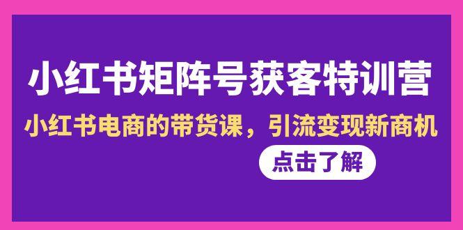 小红书-矩阵号获客特训营-第10期，小红书电商的带货课，引流变现新商机-89网创