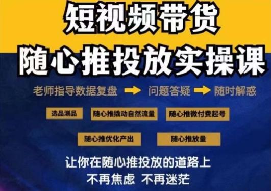 2024好物分享随心推投放实操课，随心推撬动自然流量/微付费起号/优化产出-89网创