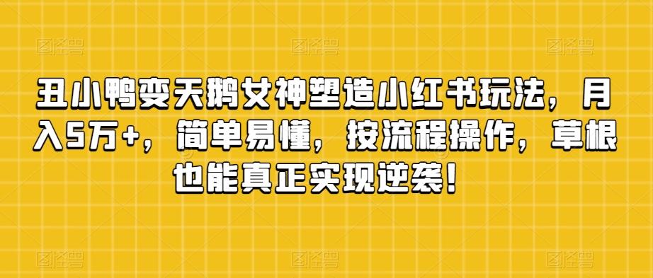 丑小鸭变天鹅女神塑造小红书玩法，月入5万+，简单易懂，按流程操作，草根也能真正实现逆袭！-89网创