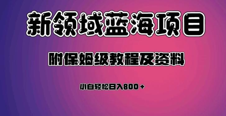 虚拟资源蓝海领域新项目，轻松日入800＋，附保姆级教程及资料-89网创