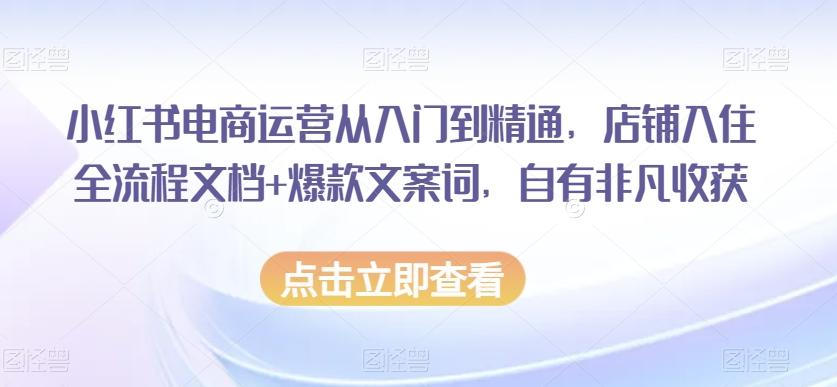 小红书电商运营从入门到精通，店铺入住全流程文档+爆款文案词，自有非凡收获-89网创
