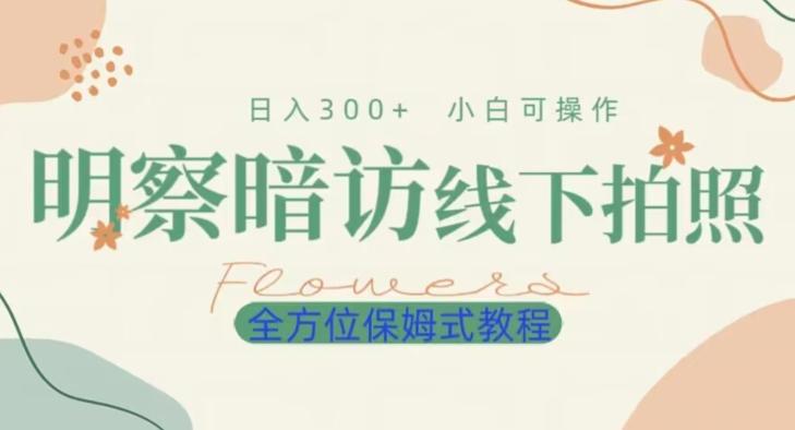 明拍暗拍项目0成本投入日入300+小白可操作保姆式全方位教程-89网创