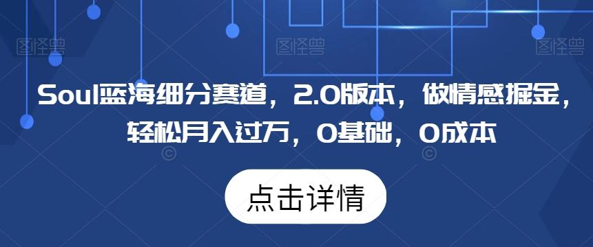 Soul蓝海细分赛道，2.0版本，做情感掘金，轻松月入过万，0基础，0成本-89网创