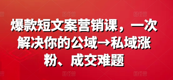 爆款短文案营销课，一次解决你的公域→私域涨粉、成交难题-89网创