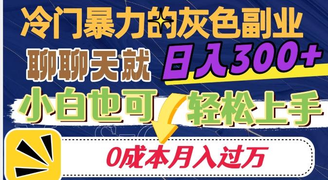 冷门暴利的副业项目，聊聊天就能日入300+，0成本月入过万【揭秘】-89网创