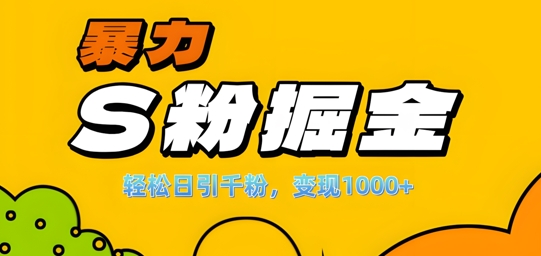 单人单机日引千粉，变现1k+，S粉流量掘金计划攻略【揭秘】-89网创