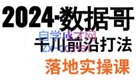 数据哥·2024年千川前沿打法落地实操课-89网创