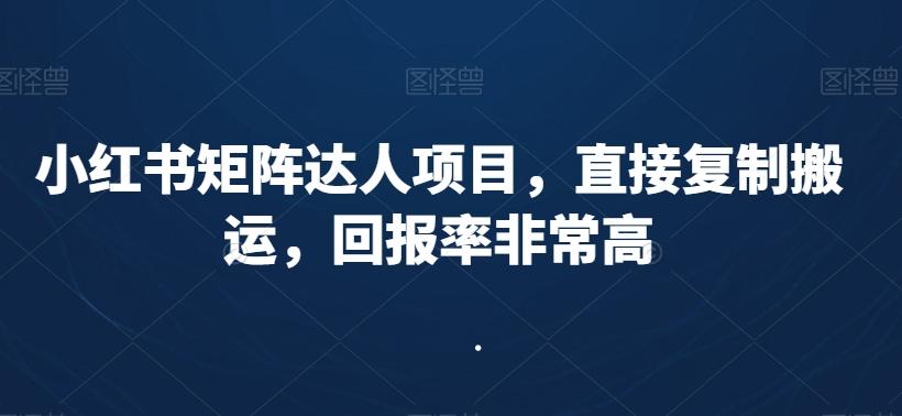 小红书矩阵达人项目，直接复制搬运，回报率非常高-89网创