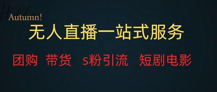 无人直播一站式服务（教程以及变现方式）-89网创