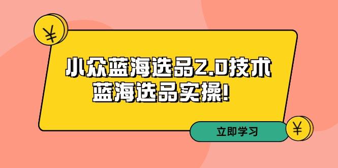 拼多多培训第33期：小众蓝海选品2.0技术-蓝海选品实操！-89网创