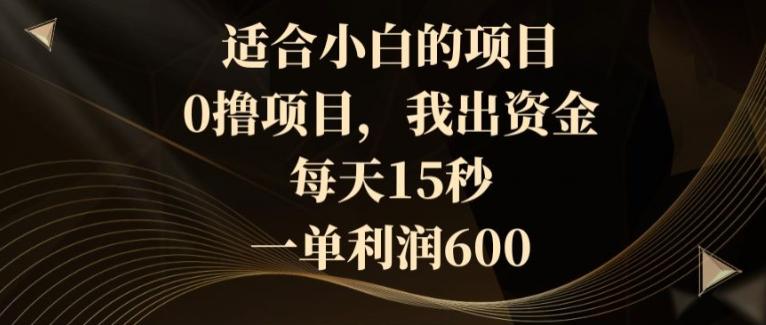 适合小白的项目，0撸项目，我出资金，每天15秒，一单利润600-89网创