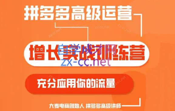 大麦老师·拼多多单品爆款打造课程(更新6月)-89网创